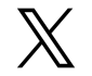 x logo